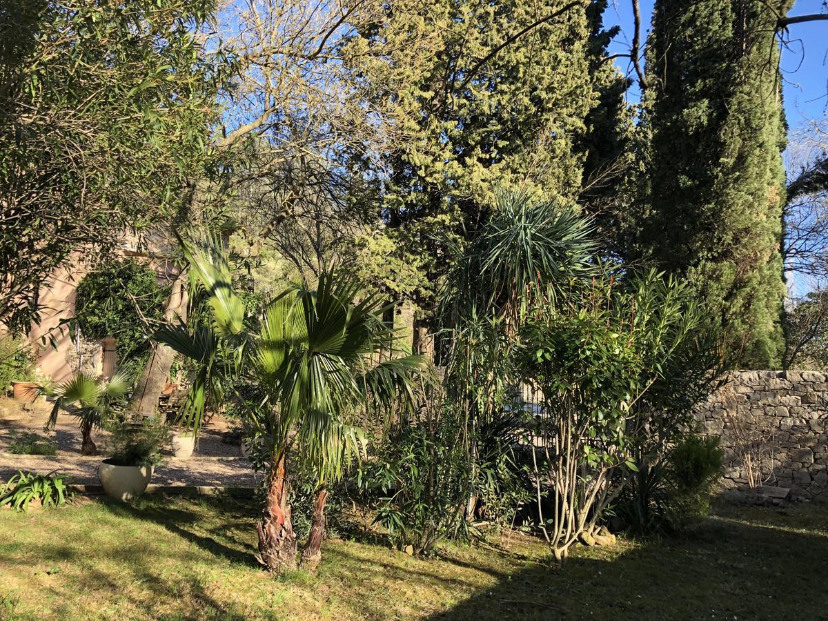 Auberge De Pachoquin Meounes-les-Montrieux Dış mekan fotoğraf